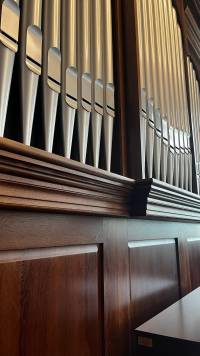 FB_IMG_1768246406984